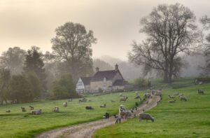 Advice for farmers on protecting Agricultural Property Relief