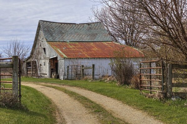 Understanding barriers to farm diversification