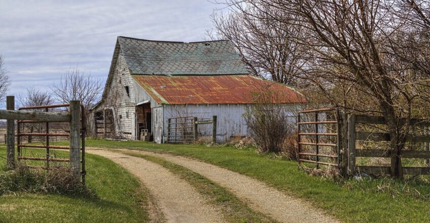 Understanding barriers to farm diversification