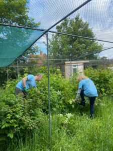 Tallents Solicitors volunteer at Reach Flower Pod as part of their 250 Anniversary Celebrations