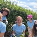 Tallents Solicitors volunteer again at local charities