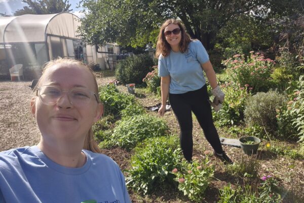 #TeamTallents returned to the Flower Pod at Southwell for some more volunteering